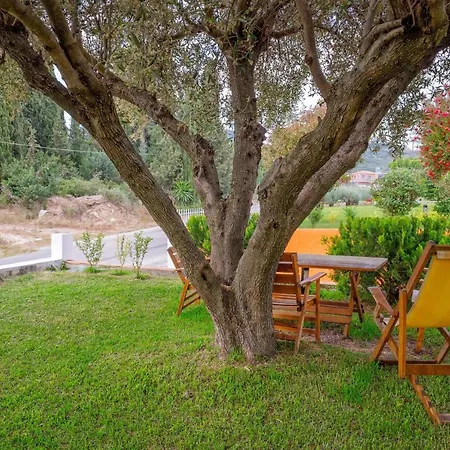 Sophia Elena Lägenhet Minia